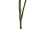 DKD Home Decor Rama de Metal y PE 20x20x49 cm Surtido de 2