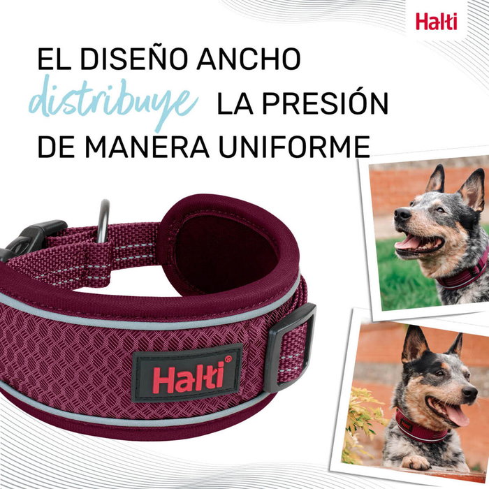 Collar para Perro Company of Animals