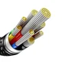 Baseus Cable USB-C a USB-C Tungsten Gold 1 m Negro