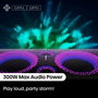 HISENSE Party Storm Altavoz para fiestas Negro 300 W