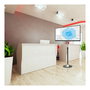 Techly Soporte de Pie para Monitor (ICA-TR10) - Soporte de Suelo para Pantallas LCD/LED de 33 a 68.6 cm (13 a 27 Pulgadas), VESA 75x75 a 100x100 mm, Carga Máx. 22 kg, Plata