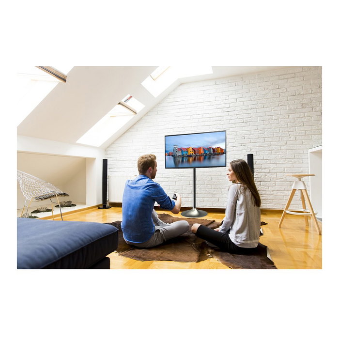 Techly Soporte de Pie para Monitor (ICA-TR10) - Soporte de Suelo para Pantallas LCD/LED de 33 a 68.6 cm (13 a 27 Pulgadas), VESA 75x75 a 100x100 mm, Carga Máx. 22 kg, Plata