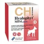 Chemical Hyalophyt MSM Giants 120 comprimidos