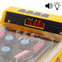 PAC-MAN PINBALL ARCADE PREMIUM
