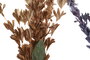 DKD Home Decor Ramas de EVA Surtido de 3 Colores (60 piezas)