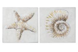 DKD Home Decor Cuadro Lienzo 60x60 Caracola Estrella Surtido de 2 (Pack de 4)
