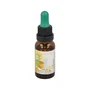 MARNYS Fórmula 01 Urgencias Complejo Floral 20ml