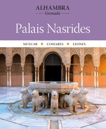 TRIANGLE POSTALS, Alhambra. Palais Nasrides, Ricard Regas Iglesias - TRIANGLE POSTALS