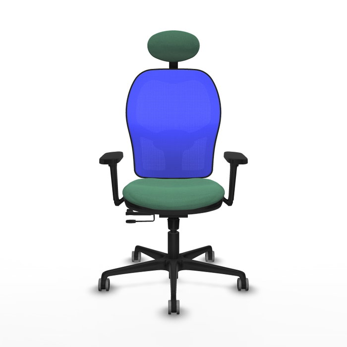 PIQUERAS Y CRESPO Silla de oficina Jorquera con Mecanismo Sincro/Traslack, Tela Verde Esmeralda y Malla Azul PIQUERAS Y CRESPO Silla de oficina Jorquera con Mecanismo Sincro/Traslack, Tela Verde Esmeralda y Malla Azul