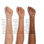Shiseido Synchro Skin Self Refreshing Foundation 420 Bronze 30 ml