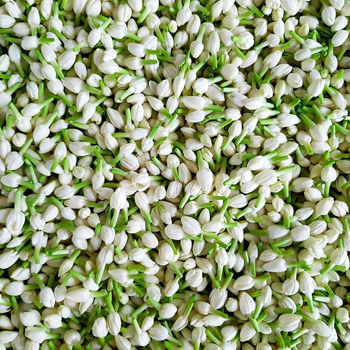 Kiehl's Super Multi Corrective Cream Crema Antiedad 50ml