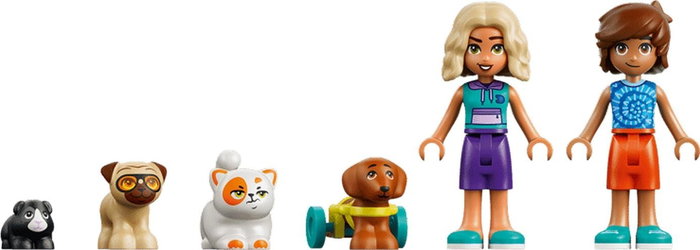 LEGO Friends Día Divertido en el Parque Acuático 42676
