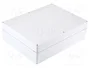 FIBOX EURONORD Carcasa Universal Gris 230x300x87mm