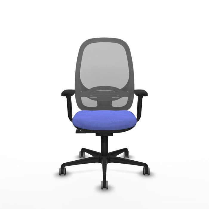 PIQUERAS Y CRESPO Silla de oficina Cilanco con mecanismo Sincro, Azul claro y Gris PIQUERAS Y CRESPO Silla de oficina Cilanco con mecanismo Sincro, Azul claro y Gris