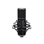 Trust Gaming GXT 270 Emita II+ Micrófono para Streaming con Brazo Ajustable, USB, Negro