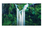 SAMSUNG The Wall IW016C MicroLED Negro