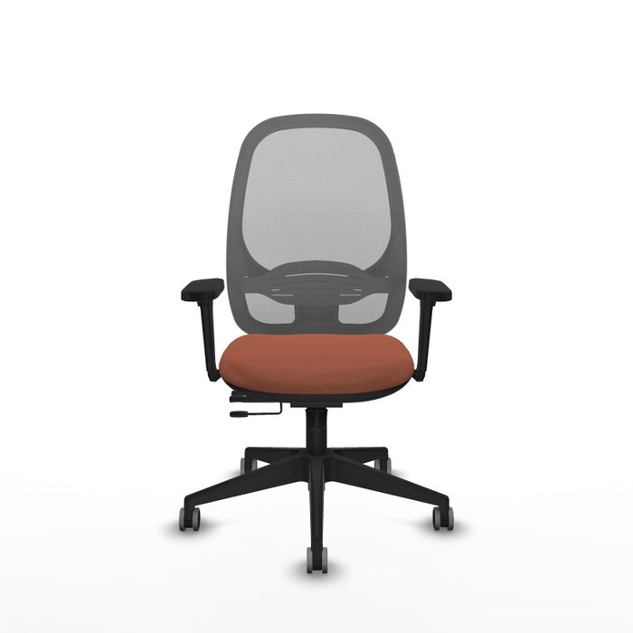 PIQUERAS Y CRESPO Silla de oficina Cilanco con mecanismo Sincro/Traslack Marrón y Gris PIQUERAS Y CRESPO Silla de oficina Cilanco con mecanismo Sincro/Traslack Marrón y Gris