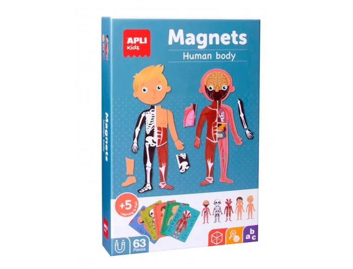 APLI Juego Magnético Educativo El Cuerpo Humano con 63 Imanes y 15 Fichas