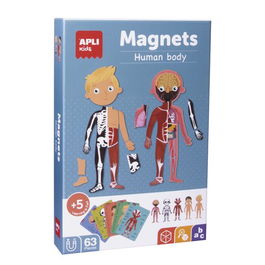 Juego Magnetico Apli Cuerpo Humano 63 Piezas