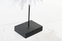 DKD Home Decor Decoración de Pluma y Conchas Beige