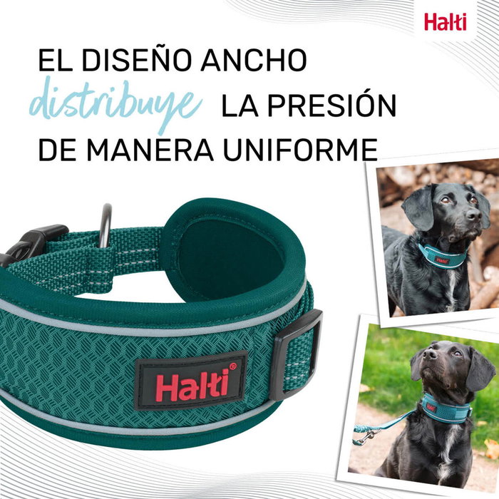 Collar para Perro Company of Animals Turquesa Collar para Perro Company of Animals Turquesa