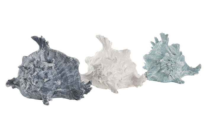 DKD Home Decor Decoración de Resina Caracola Surtido de 3 Modelos (Pack de 6)