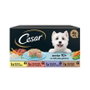 Cesar Multipack Senior 13x4x100g