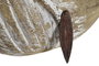 DKD Home Decor Figura Ballena Natural Paulownia 15 x 20.5 x 38.5 cm