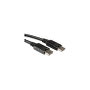 VALUE Cable DisplayPort 11.99.5764 de 5 m
