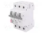ETI POLAM Interruptor magnetotérmico ETIMAT 6 3P 25A 6kA