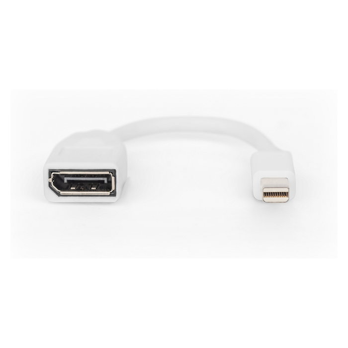 Digitus Cable Mini DisplayPort a DisplayPort St./Bu. 0,15m Blanco