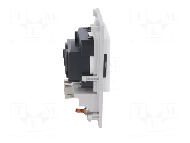 MURRELEKTRONIK MODLINK MSDD Single Socket RJ45 y Horquilla 4mm