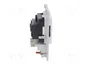 MURRELEKTRONIK MODLINK MSDD Single Socket RJ45 y Horquilla 4mm