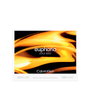 Calvin Klein EUPHORIA SOLAR ELIXIR Eau de Parfum 100 ml