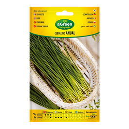 Agreen 000239bolsh Semillas Cebollino Anual Agreen para Ensaladas, Tortillas y Revueltos