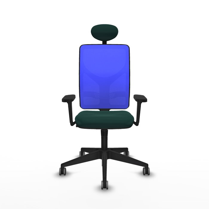 PIQUERAS Y CRESPO Silla de oficina Motilla con mecanismo Sincro, Verde botella y Azul PIQUERAS Y CRESPO Silla de oficina Motilla con mecanismo Sincro, Verde botella y Azul