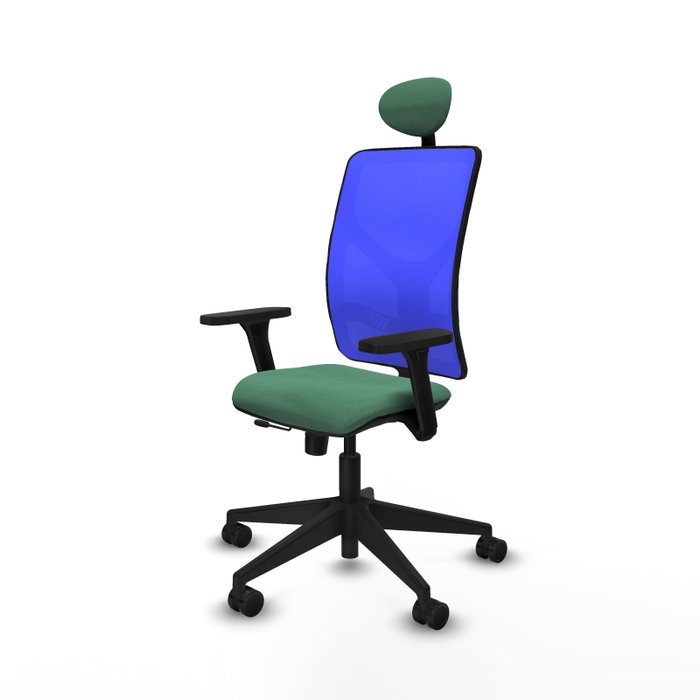 PIQUERAS Y CRESPO Silla de oficina Motilla con mecanismo Sincro/Traslack Verde esmeralda y Azul PIQUERAS Y CRESPO Silla de oficina Motilla con mecanismo Sincro/Traslack Verde esmeralda y Azul