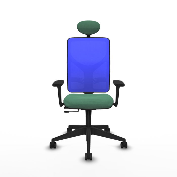 PIQUERAS Y CRESPO Silla de oficina Motilla con mecanismo Sincro/Traslack Verde esmeralda y Azul PIQUERAS Y CRESPO Silla de oficina Motilla con mecanismo Sincro/Traslack Verde esmeralda y Azul