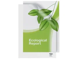 Rexel Carpeta Dossier Uñero Ecológica DIN A4 Transparente Pack 25 Unidades 160 Micras