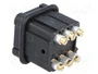 HARTING Plantilla de contacto hembra HDC Staf® 6 Pos.