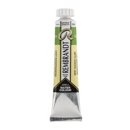 Rembrandt Acuarela Tubo 20 ml Verde Hooker Claro 644