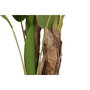 DKD Home Decor Planta de Palmera Bananera Verde con Base de Cemento