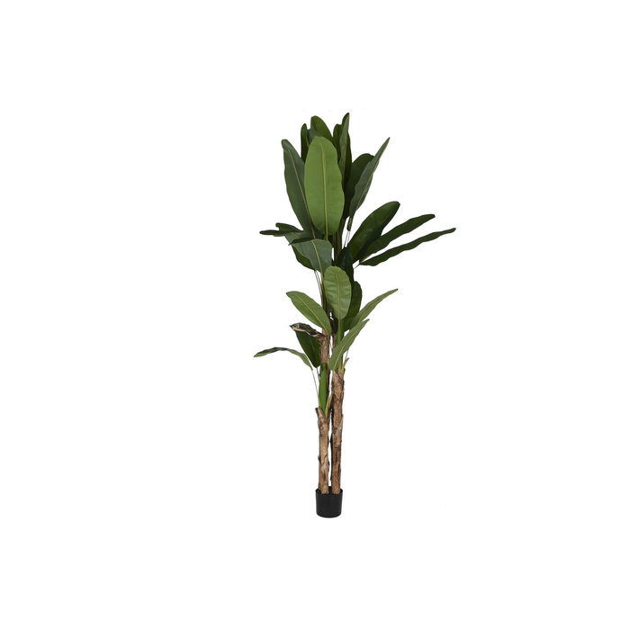 DKD Home Decor Planta de Palmera Bananera Verde con Base de Cemento