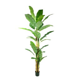 DKD Home Decor Planta de Palmera Bananera Verde con Base de Cemento
