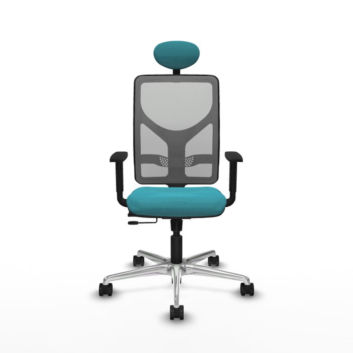 PIQUERAS Y CRESPO Silla de oficina Motilla con mecanismo Sincro/Traslack, Turquesa y Gris PIQUERAS Y CRESPO Silla de oficina Motilla con mecanismo Sincro/Traslack, Turquesa y Gris