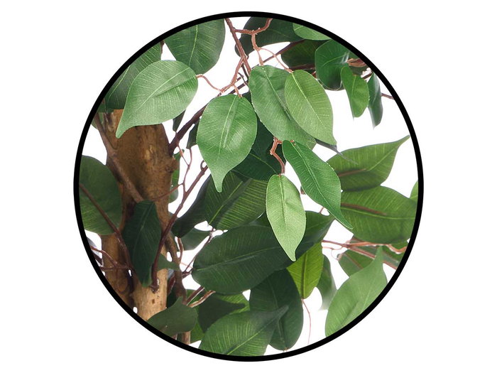 Ibergarden Maceta Ficus Pequeña 20 x 130 x 20 cm Verde/Marrón (Set de 2)