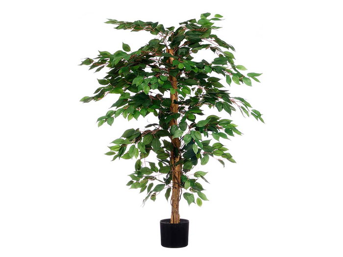 Ibergarden Maceta Ficus Pequeña 20 x 130 x 20 cm Verde/Marrón (Set de 2)