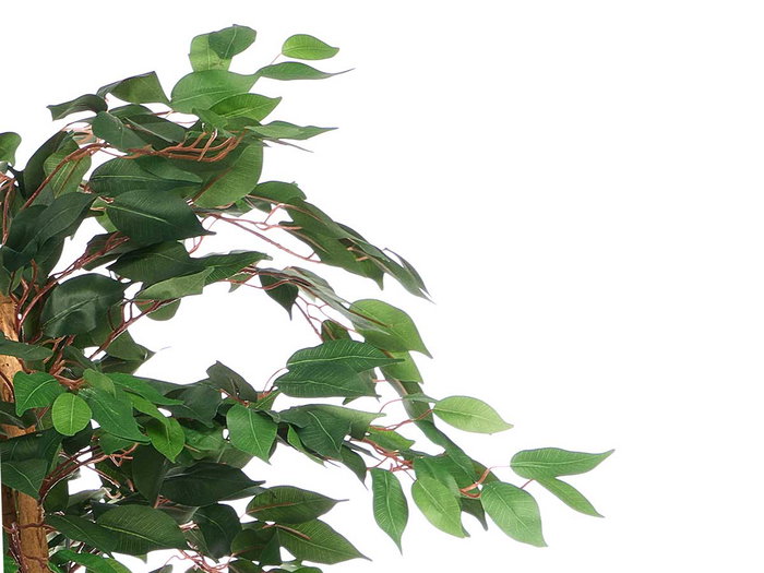 Ibergarden Maceta Ficus Pequeña 20 x 130 x 20 cm Verde/Marrón (Set de 2)