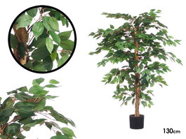 Ibergarden Maceta Ficus Pequeña 20 x 130 x 20 cm Verde/Marrón (Set de 2)