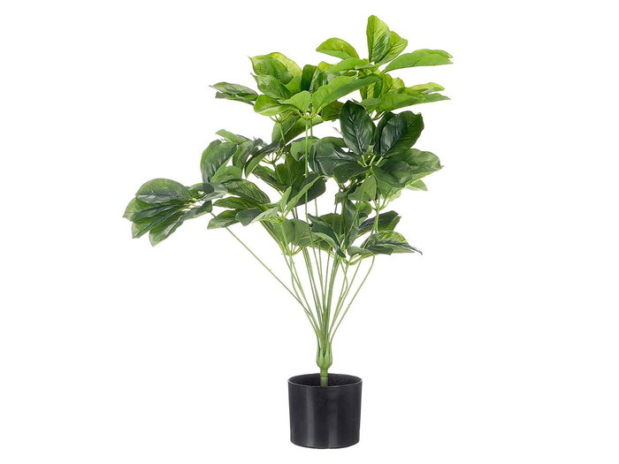 Ibergarden Maceta Planta Hojas Ovaladas, Plastico, 60x80x60 cm, Color Verde o Negro, Incluye Maceta 15x15x12.5 cm (Set de 6)